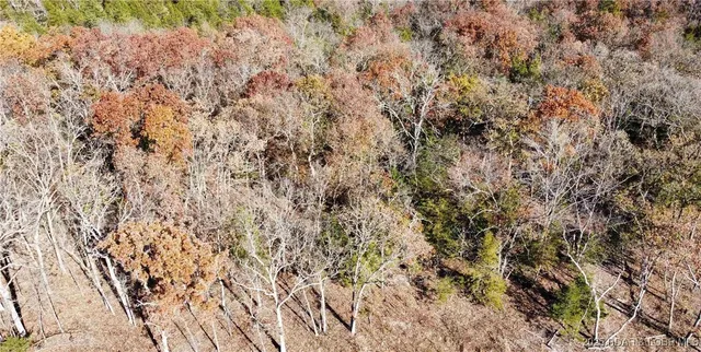$59,900 | 11.8-acres Whitetail Way, Lincoln, MO 65338