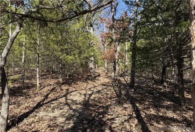 $59,900 | 11.8-acres Whitetail Way, Lincoln, MO 65338