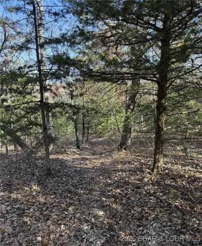 $59,900 | 11.8-acres Whitetail Way, Lincoln, MO 65338
