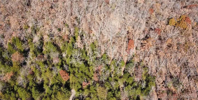 $59,900 | 11.8-acres Whitetail Way, Lincoln, MO 65338