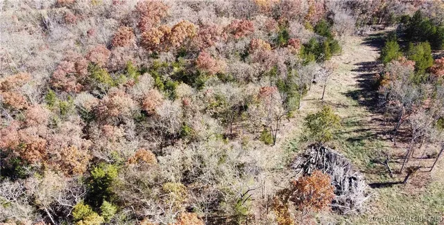$59,900 | 11.8-acres Whitetail Way, Lincoln, MO 65338