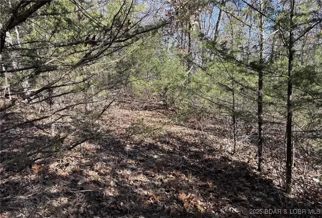 $59,900 | 11.8-acres Whitetail Way, Lincoln, MO 65338