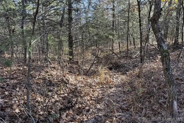 $59,900 | 11.8-acres Whitetail Way, Lincoln, MO 65338