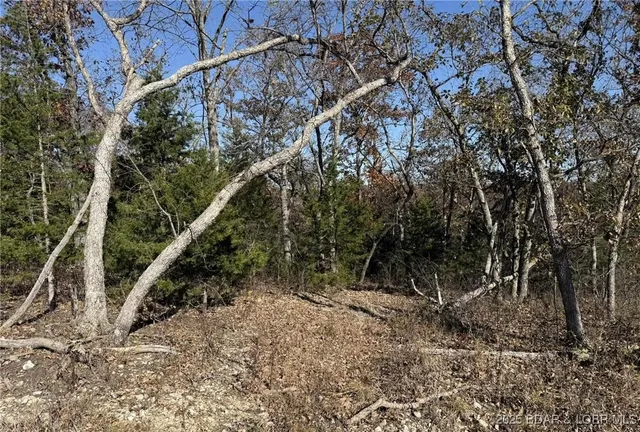 $59,900 | 11.8-acres Whitetail Way, Lincoln, MO 65338