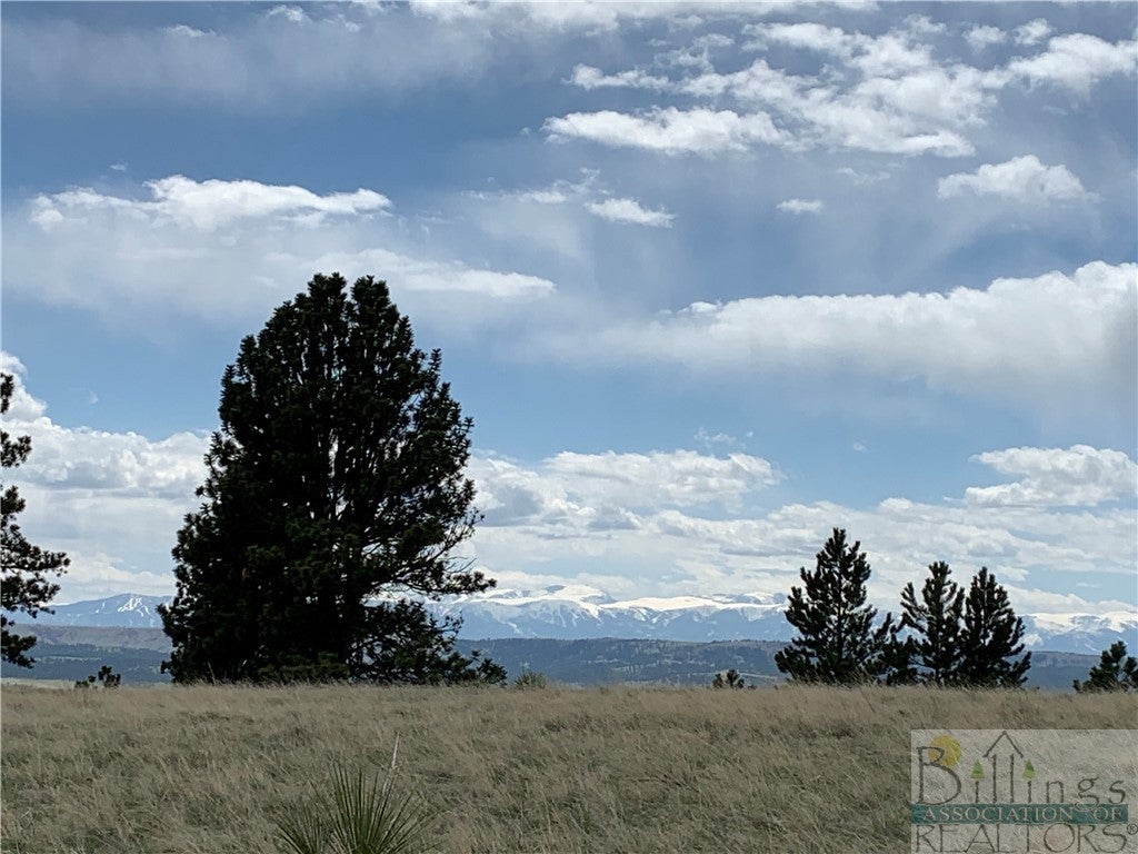 Lot 52 Pine Crest Road Columbus, MT 59019 - Photo 1 of 1 Gallery Image 1