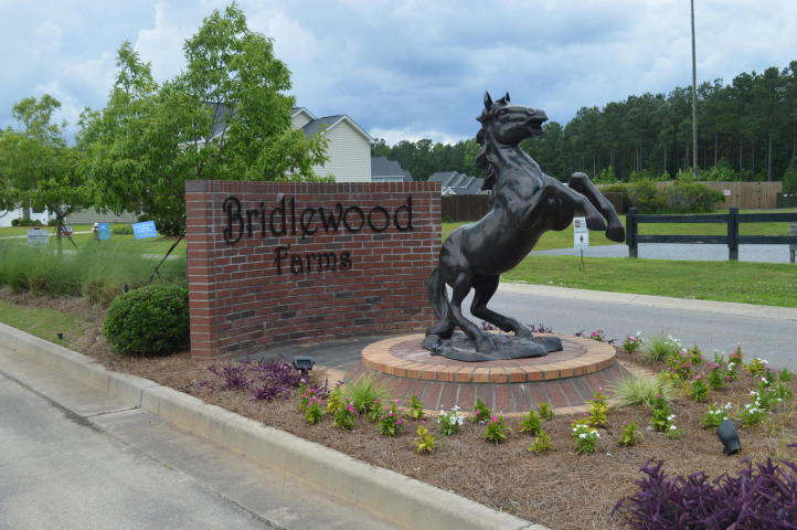 3005 Gulfstream Lane Ridgeville, SC 29472 - Photo 38 of 38 Bridlewood farms Horse