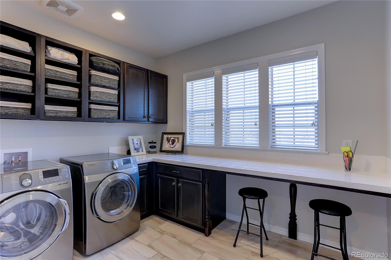 10769 Timberdash Avenue Highlands Ranch, CO 80126 - Photo 21 of 35 Gallery Image 21
