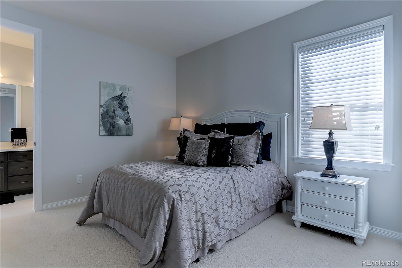 10769 Timberdash Avenue Highlands Ranch, CO 80126 - Photo 28 of 35 Gallery Image 28
