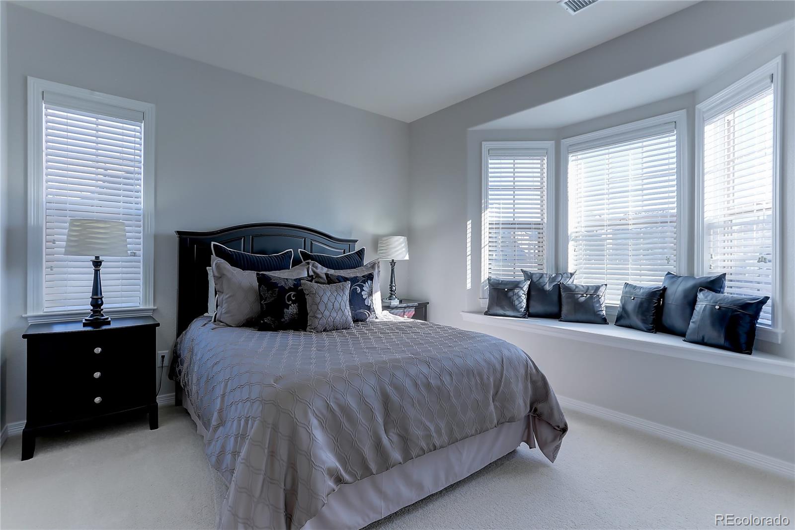 10769 Timberdash Avenue Highlands Ranch, CO 80126 - Photo 32 of 35 Gallery Image 32