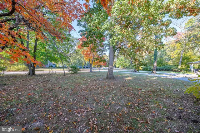 a view of outdoor space with tree s