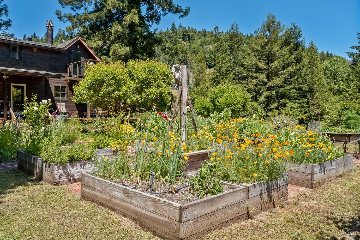 31501 Comptche Ukiah Road Comptche, CA 95427 - Photo 38 of 85