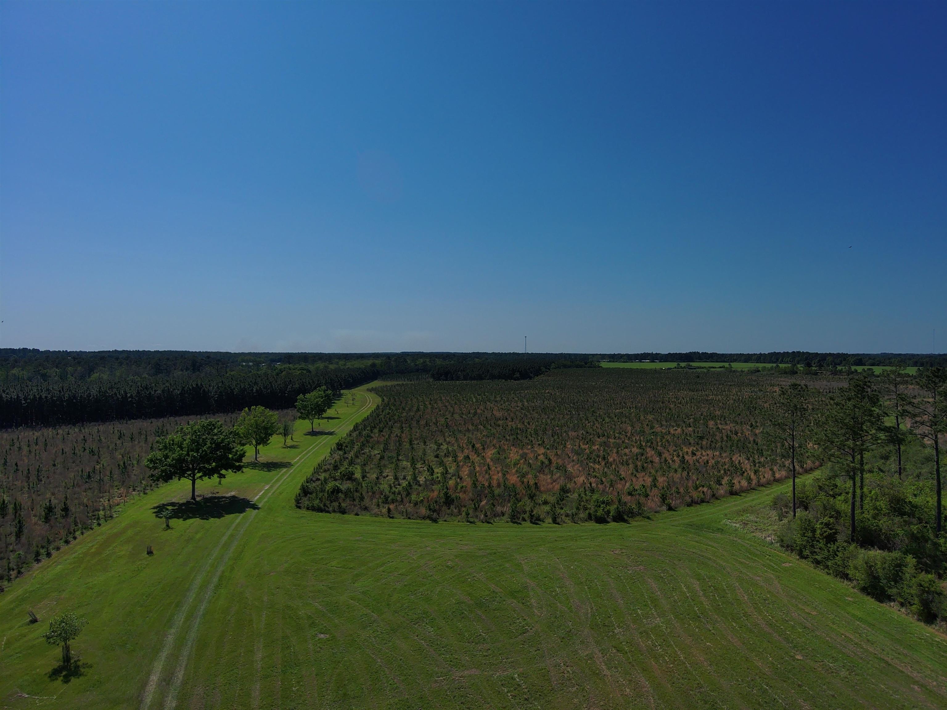 87 County Road 87 Elberta, AL 36530 - Photo 36 of 66 Aerial View