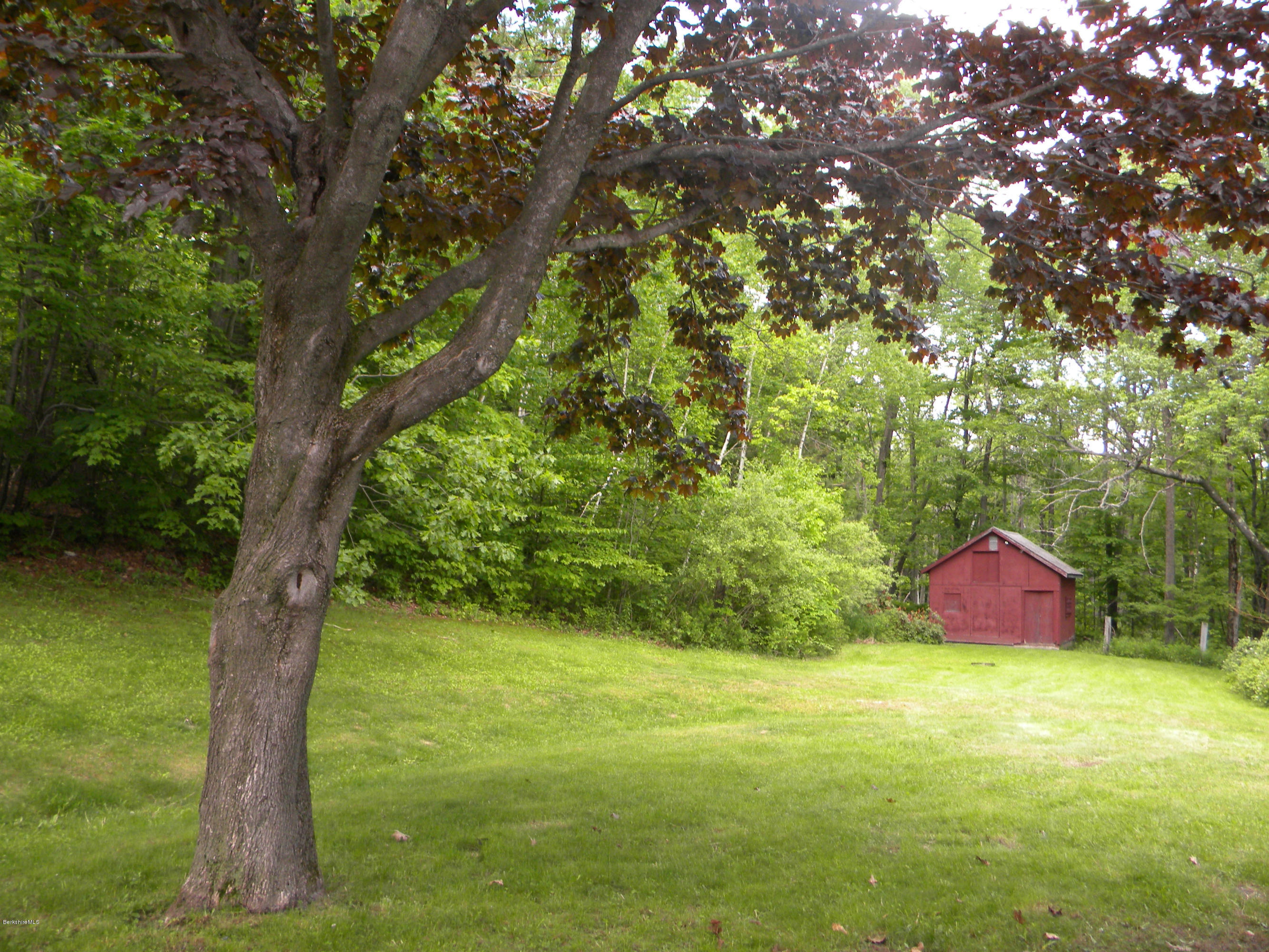 3 Whitcomb Hill Road Florida, MA 01343 - Photo 8 of 14 a view of a garden with a tree