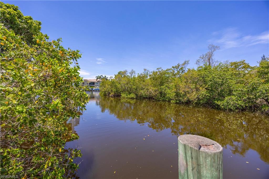 2958 Poplar Street Naples, FL 34112 - Photo 38 of 49 a view of a lake with houses in the background