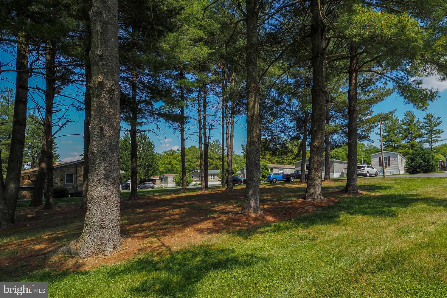 4104 Conowingo Road Darlington, MD 21034 - Photo 52 of 52 Property Lined by Mature Trees