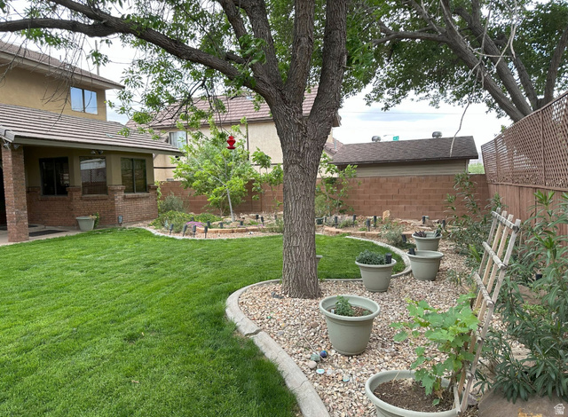 892 Cambridge Drive St. George, UT 84770 - Photo 65 of 65 Expansive backyard featuring a lush lawn, mature trees, and decorative planter beds with gravel infill