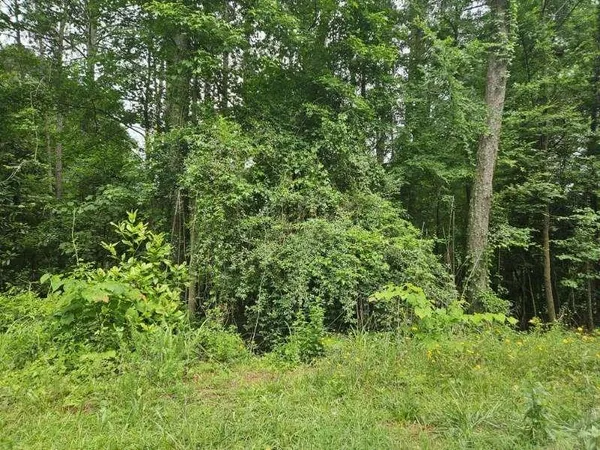 $13,500 | 2435 Hi Roc Circle Northeast, Conyers, GA 30012