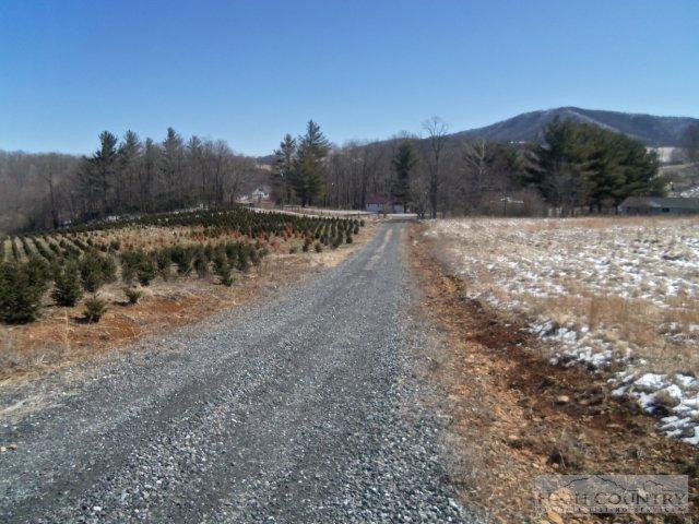 Lot 2 Black Bear Inn Road West Jefferson, NC 28694 - Photo 2 of 8 Gallery Image 2