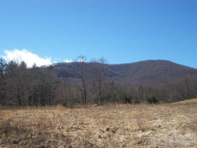 Lot 2 Black Bear Inn Road West Jefferson, NC 28694 - Photo 5 of 8 Gallery Image 5