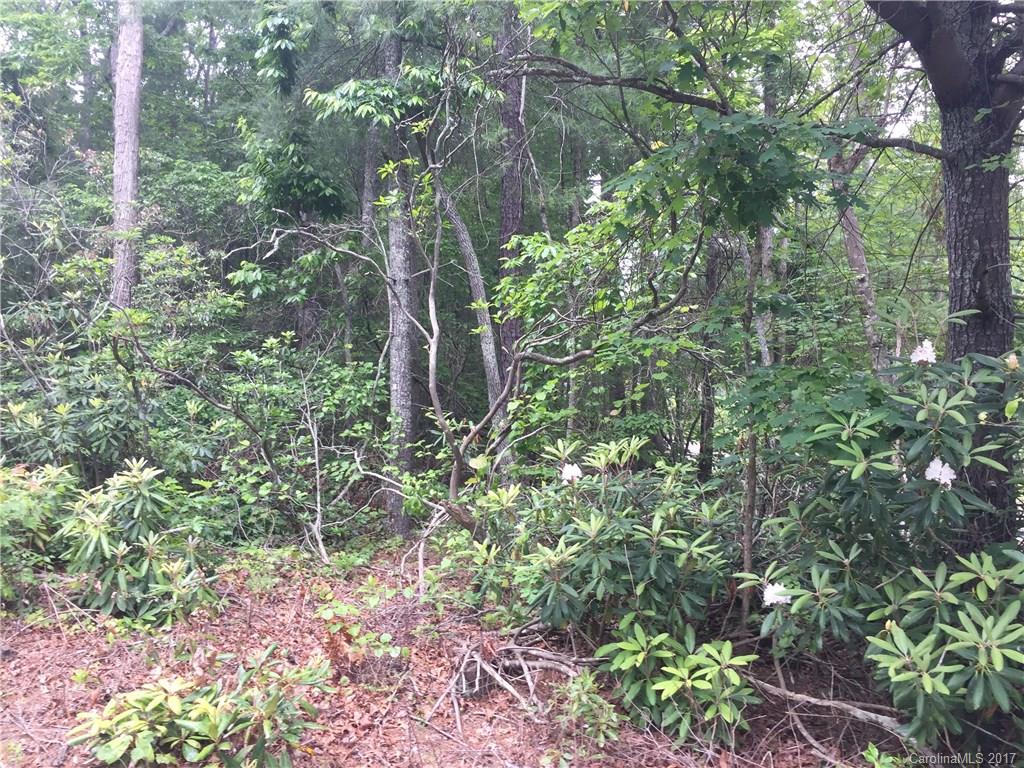 775 Concord Road, Unit A Fletcher, NC 28732 - Photo 11 of 24 Gallery Image 11
