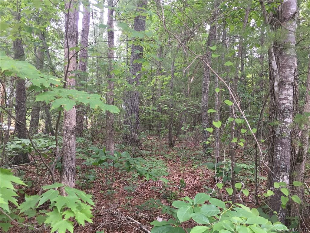 775 Concord Road, Unit A Fletcher, NC 28732 - Photo 13 of 24 Gallery Image 13