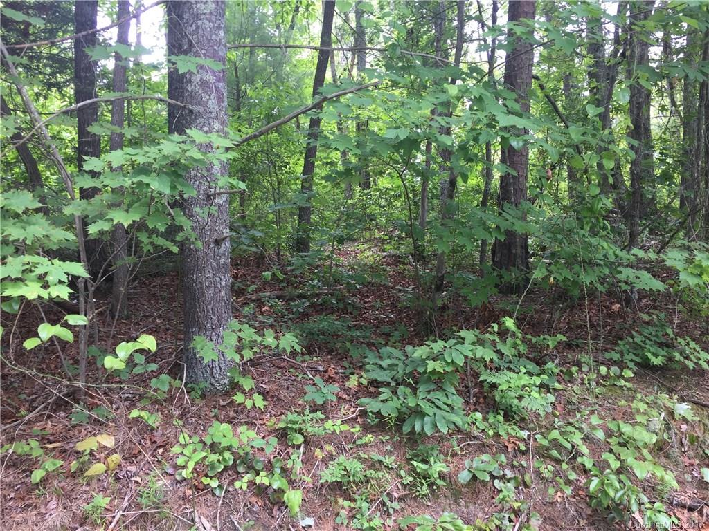 775 Concord Road, Unit A Fletcher, NC 28732 - Photo 5 of 24 Gallery Image 5