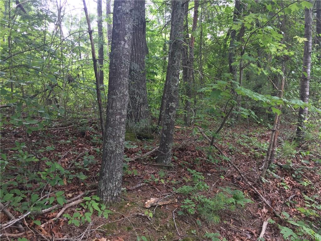 775 Concord Road, Unit A Fletcher, NC 28732 - Photo 8 of 24 Gallery Image 8