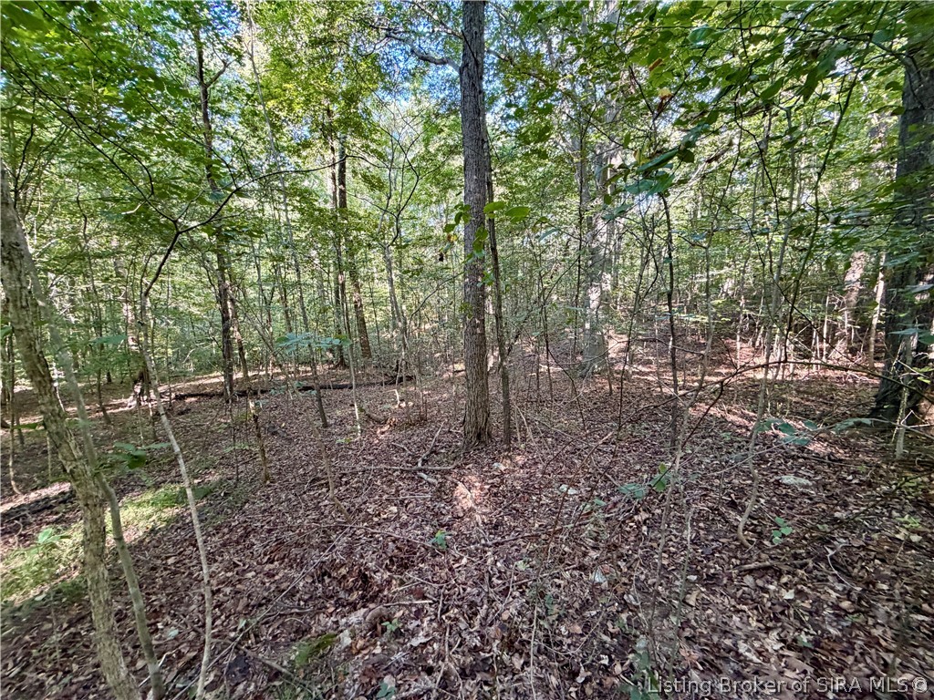 South Big Springs Road Pekin, IN 47165 - Photo 16 of 24 Gallery Image 16
