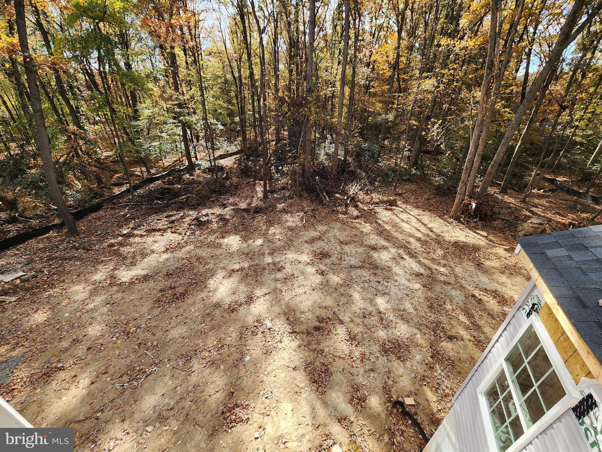 1132 Nottingham Road Elkton, MD 21921 - Photo 13 of 18 a view of backyard with green space