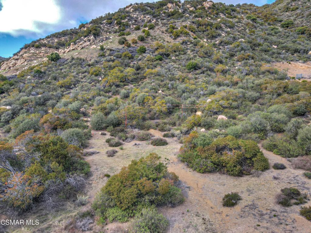 2140 Stunt Road Calabasas, CA 91302 - Photo 6 of 13 a view of a field with a tree in the background