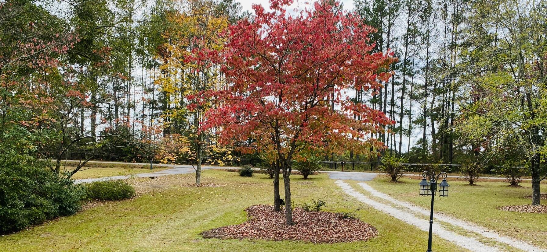 3179 Banks Mill Road Southeast Aiken, SC 29803 - Photo 3 of 18