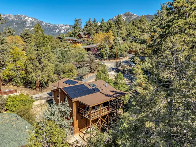 a view of a park with large trees