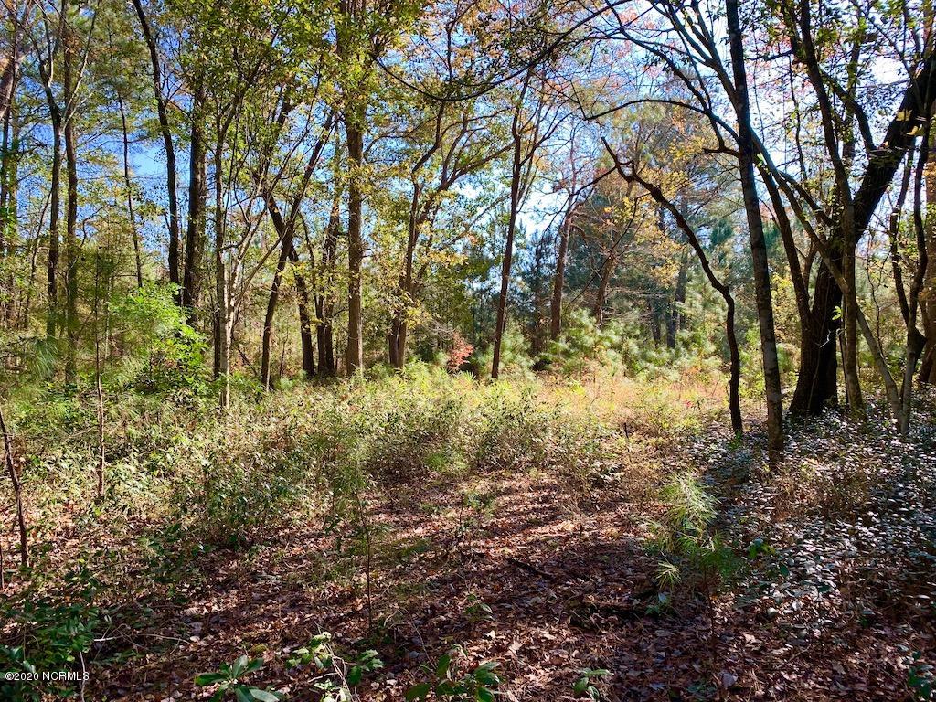 1760 Cobb Road Kinston, NC 28501 - Photo 10 of 34 9