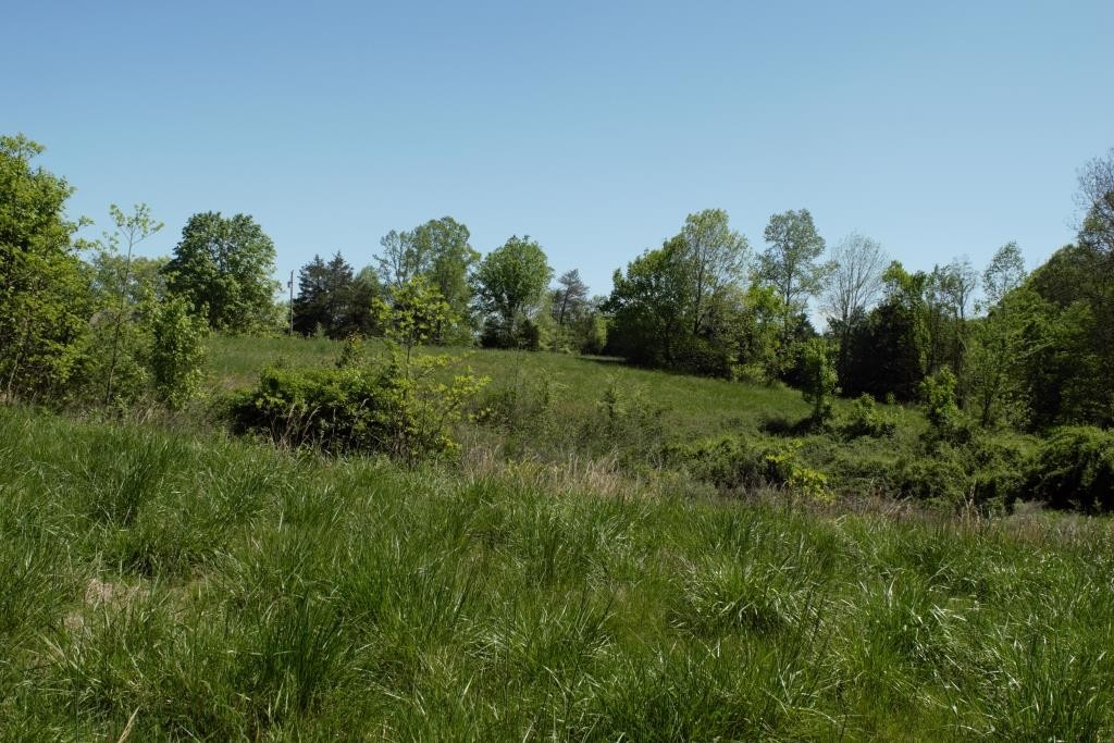 0 Camp Ravine Road Burns, TN 37029 - Photo 6 of 7