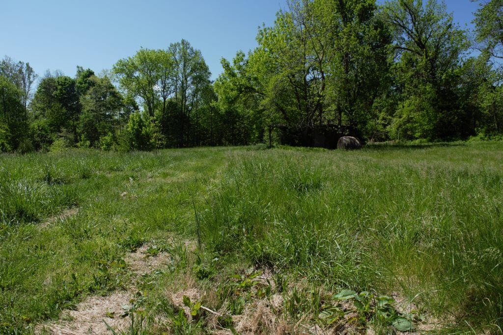0 Camp Ravine Road Burns, TN 37029 - Photo 7 of 7