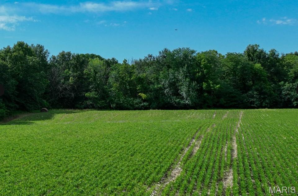 0 Silver Creek Road Alhambra, IL 62001 - Photo 23 of 23