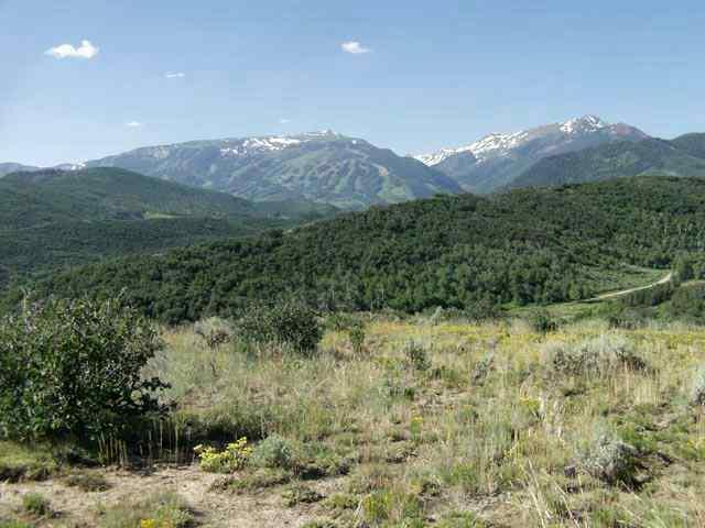 94 Rabbit Way Snowmass, CO 81654 - Photo 1 of 9 Primary Photo