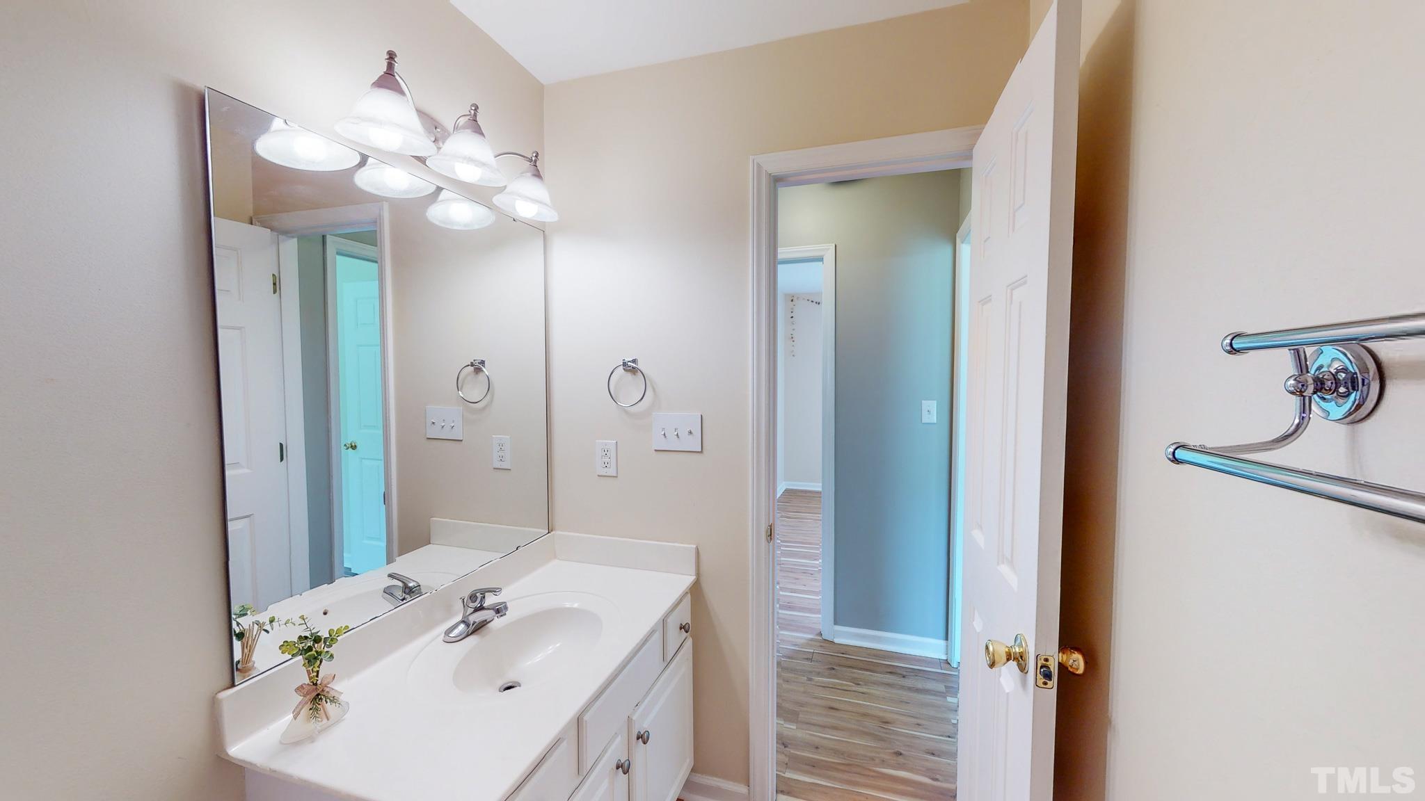 159 Punch Hill Farm Road Rougemont, NC 27572 - Photo 40 of 43 a bathroom with a sink a light fixture and a mirror