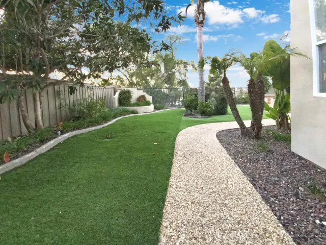 a view of a palm plant in front of a house