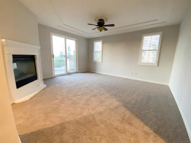 a view of a park with plants and trees