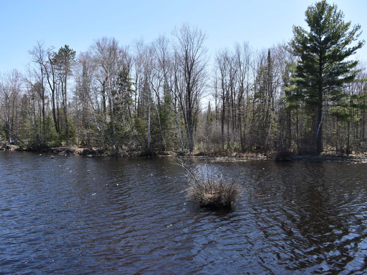 Lot 8 Pfeifer Road Tomahawk, WI 54487 - Photo 24 of 25 Gallery Image 24