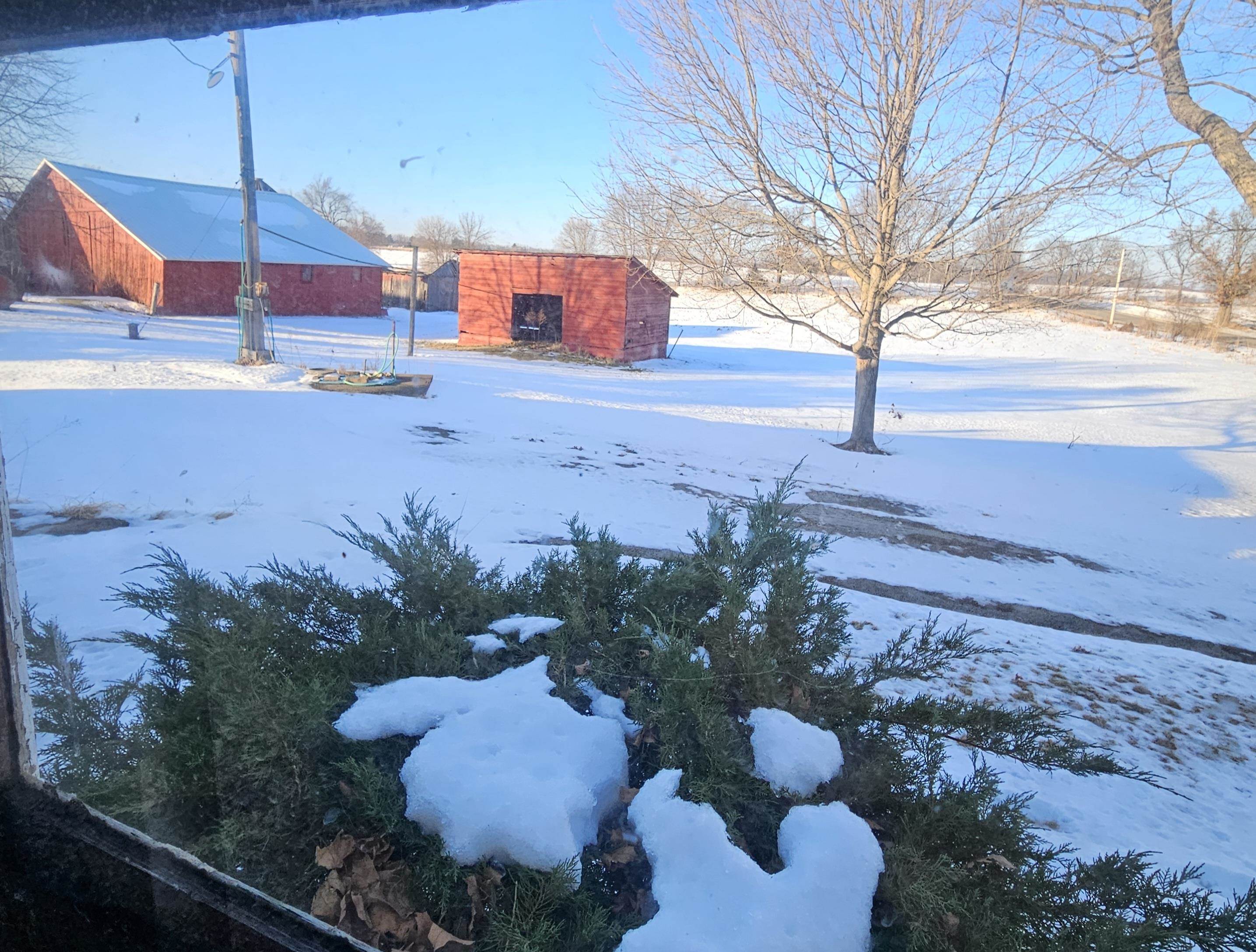 9202 Town Hall Road Belvidere, IL 61008 - Photo 44 of 49