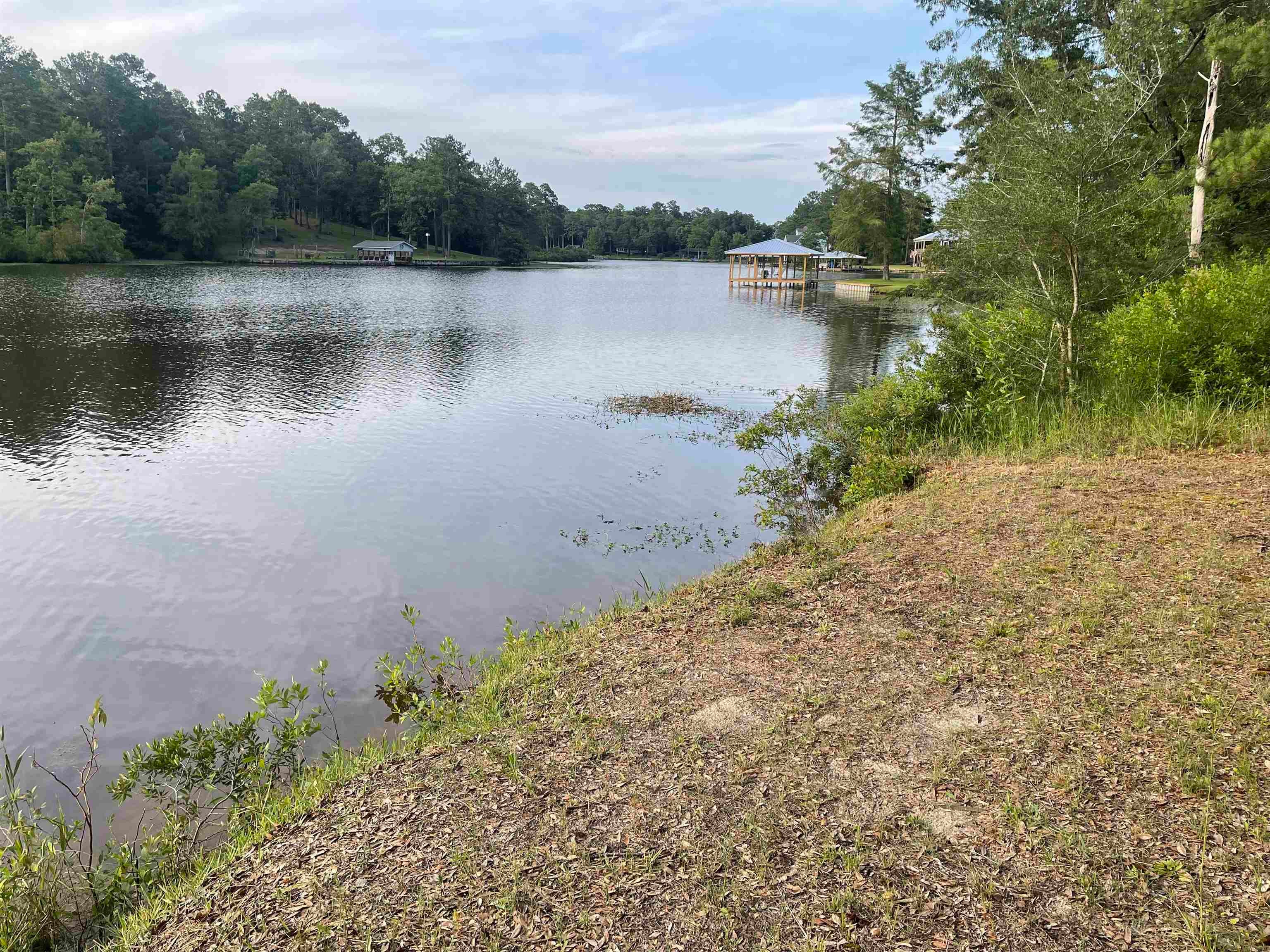 Lot 21 Magnolia Point Samson, AL 36477 - Photo 2 of 6 Gallery Image 2