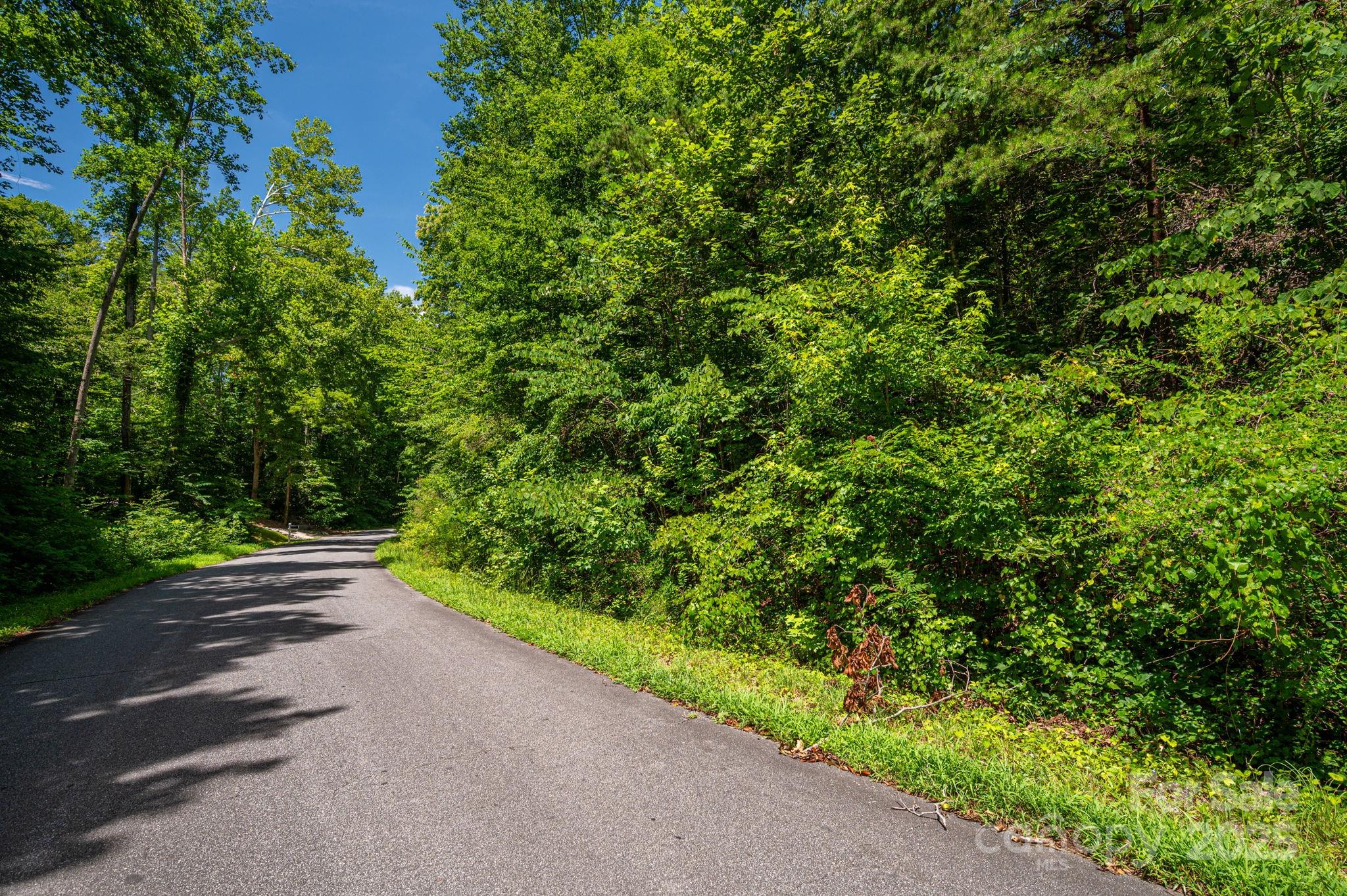 Lot 164 Plantation Drive Rutherfordton, NC 28139 - Photo 22 of 22 a view of a yard with plants and trees