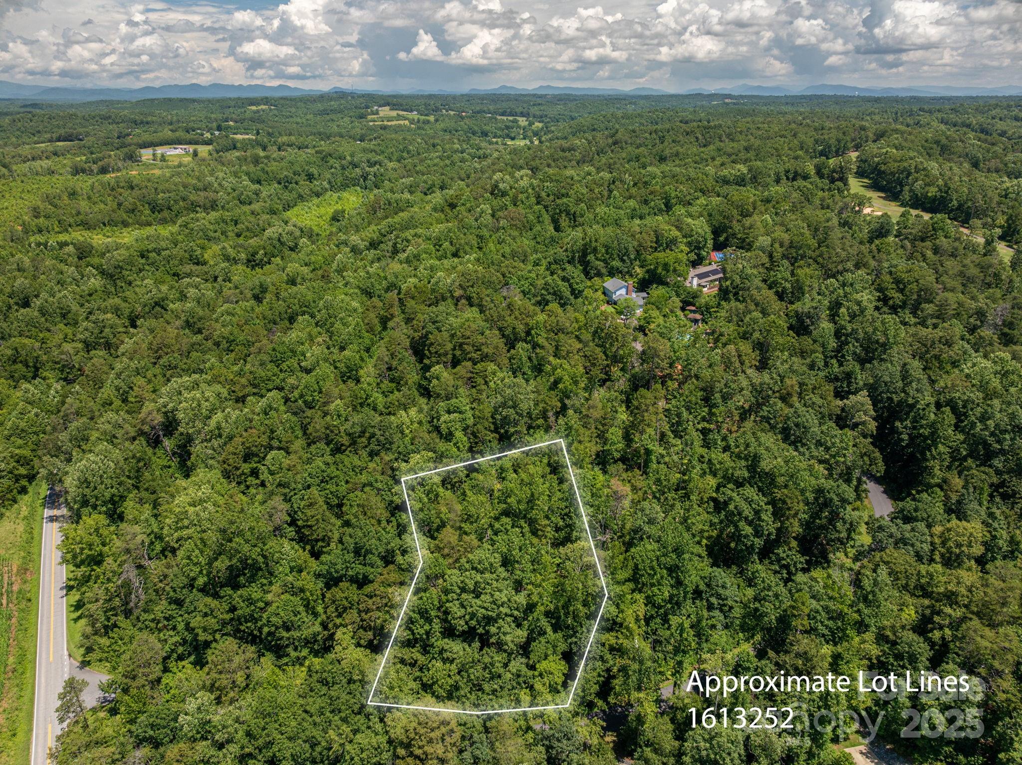 Lot 164 Plantation Drive Rutherfordton, NC 28139 - Photo 4 of 22 a view of a big yard with plants and large trees