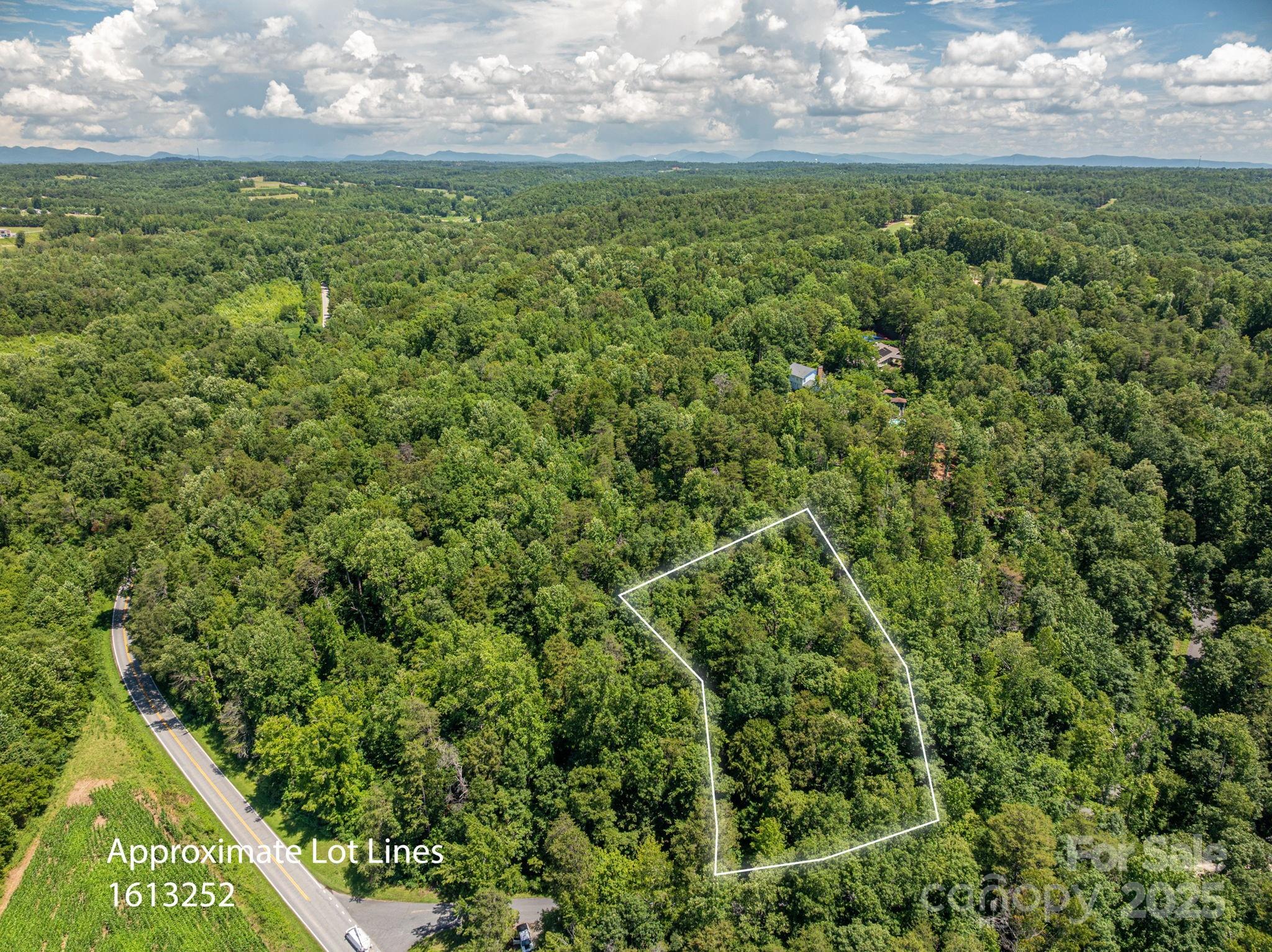 Lot 164 Plantation Drive Rutherfordton, NC 28139 - Photo 6 of 22 a view of a yard with an outdoor space