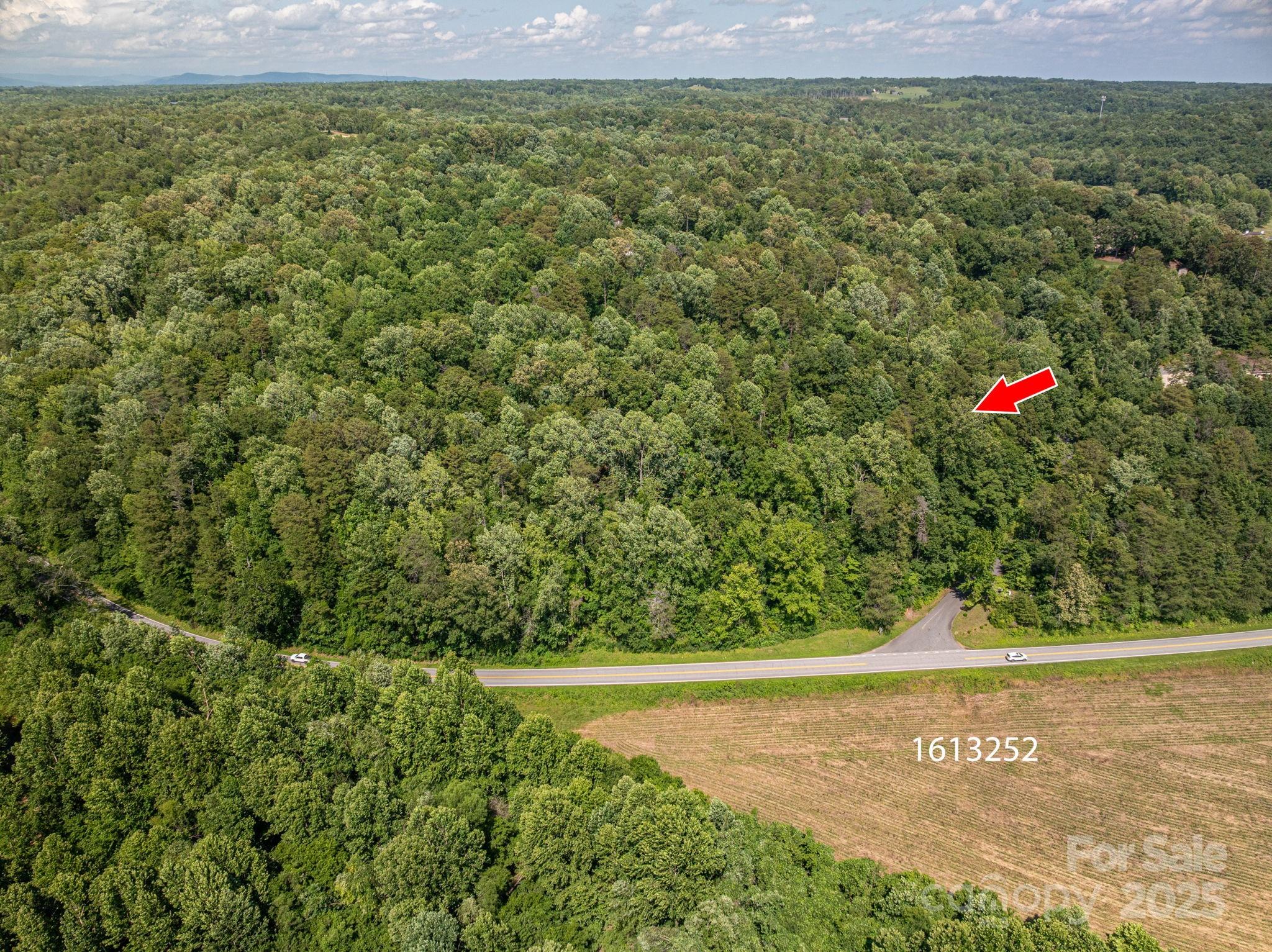Lot 164 Plantation Drive Rutherfordton, NC 28139 - Photo 7 of 22 a view of a field with an trees