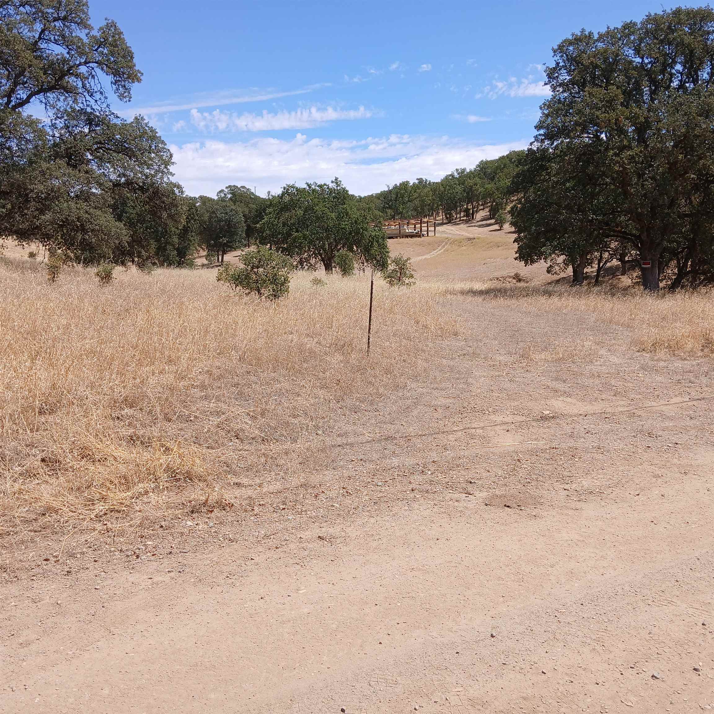 Parcel #23 Niche Road Cottonwood, CA 96080 - Photo 11 of 24 Gallery Image 11