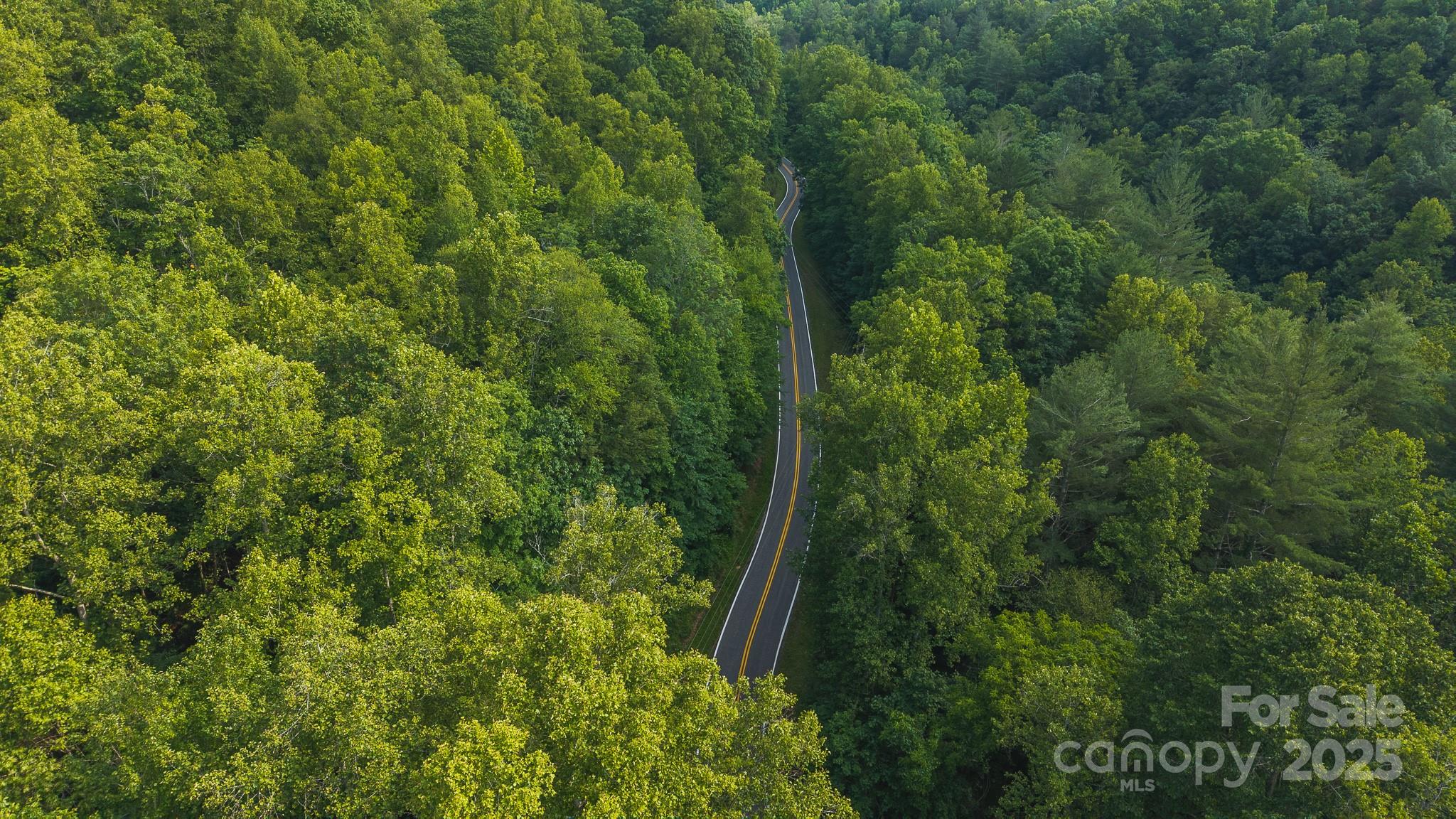 0 Brushy Mountain Road Moravian Falls, NC 28654 - Photo 13 of 26 a view of a green yard