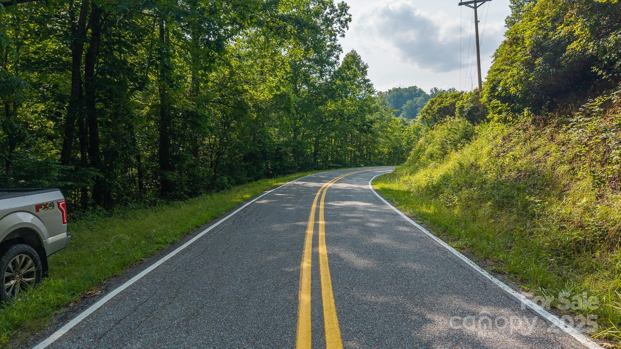 0 Brushy Mountain Road Moravian Falls, NC 28654 - Photo 14 of 26 a view of a garden with basketball court